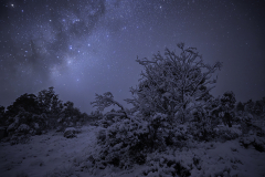 Stars and Snow