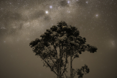 Stars twinkling