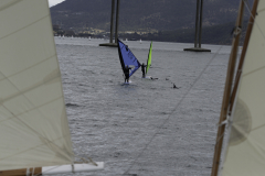 Sailing of the Ketch, with dolphins and a windsurfer