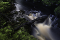 Cascading river – Tasmanian Rainforest