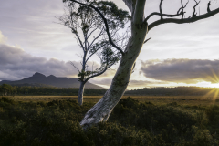 Sunset Over the Highlands
