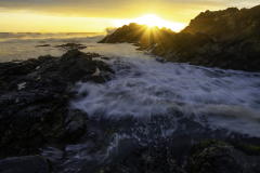 Golden Wave Wash Over Rocks – Tasmanian Coastline