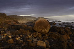 Lichen-Covered Boulder on Overcast Coast – Tasmania