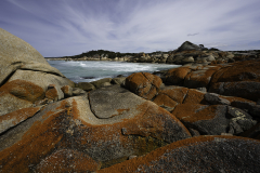 Turquoise Water and Orange Lichen Rocks – Bay of Fires