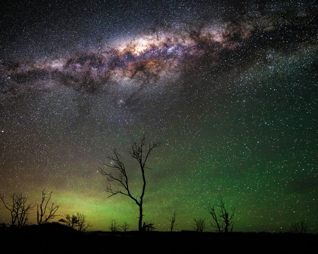 Milky Way and green airglow over silhouetted dead trees in Tasmania