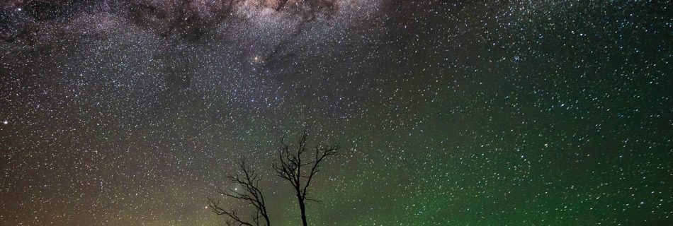 Milky Way and green airglow over silhouetted dead trees in Tasmania