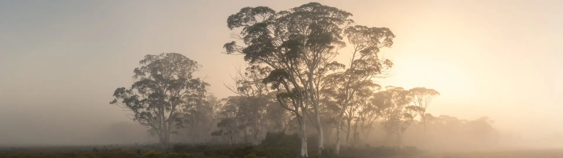 Photography Workshops in Tasmania – What to Expect