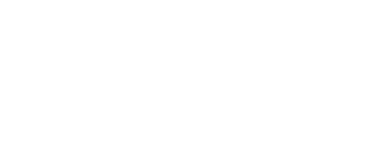 Francois Photography wordmark logo in white